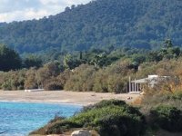 Dr. Friederike Schwarzott