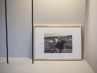 Villa Sindicic - Outdoor photo 9