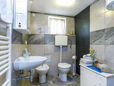 Apartment Vivijana One-Bedroom A2 - Features photo 13