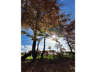 Holiday house EifelNest - Outdoor photo 8