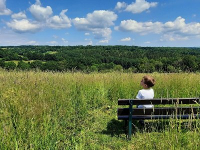 Holiday house EifelNest - Environment photo 36