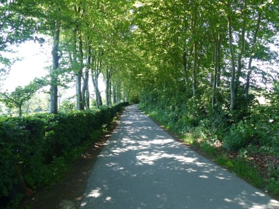 Holiday house EifelNest - Environment photo 37