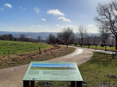 Holiday house EifelNest - Environment photo 40