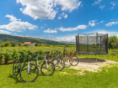 Holiday house Anetta - Outdoor photo 12