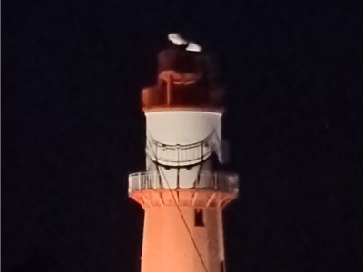 Holiday apartment Hohe Düne - Outdoor photo 7