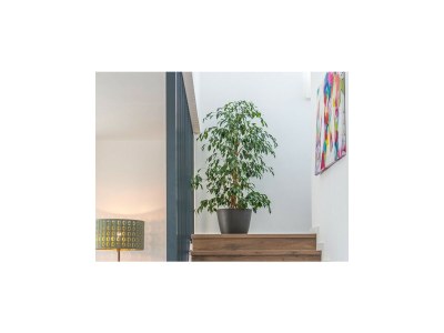 Villa Paolo - Features photo 31