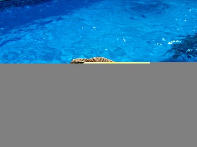 Holiday apartment Andrea - Document photo 40