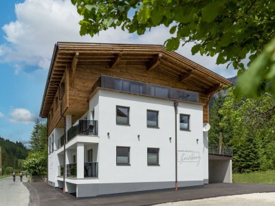 Apartment Appartement Ameiskogl - Outdoor photo 5