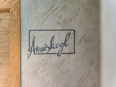 Apartment Appartement Ameiskogl - Features photo 15