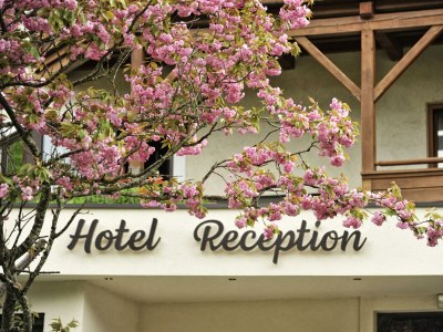 Holiday room Familien Zimmer - Outdoor photo 31