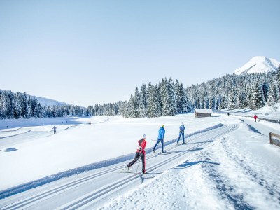 Holiday apartment Haus Jägerheim - Environment photo 17