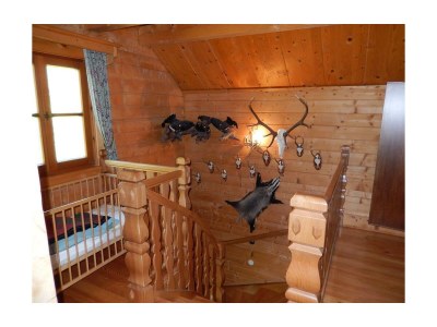 Apartment Bio-Blockhaus Koglerhütte - Outdoor photo 9