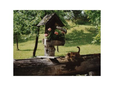 Apartment Bio-Blockhaus Koglerhütte - Outdoor photo 21