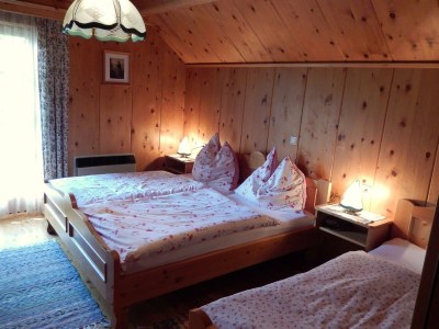 Apartment Bio-Blockhaus Koglerhütte - Features photo 32