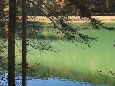 Apartment Appartement/Fewo, "die LACKIEREREI" - Outdoor photo 18