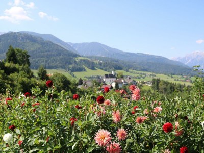 Apartment Appartement/Fewo, "die LACKIEREREI" - Outdoor photo 19