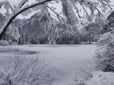 Apartment Appartement/Fewo, "die LACKIEREREI" - Features photo 51