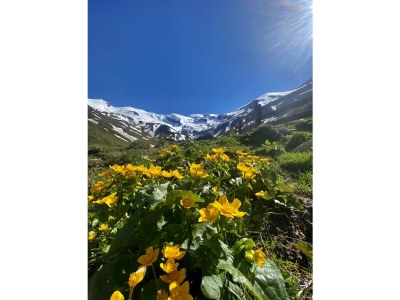 Chalet Wolfbachgut - Environment photo 36