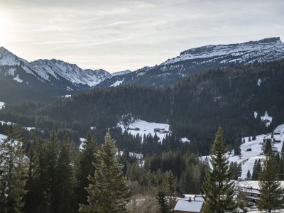 Holiday apartment Birkengrün - Outdoor photo 3