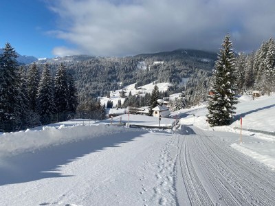 Holiday apartment Birkengrün - Outdoor photo 4