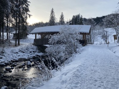 Holiday apartment Birkengrün - Outdoor photo 5