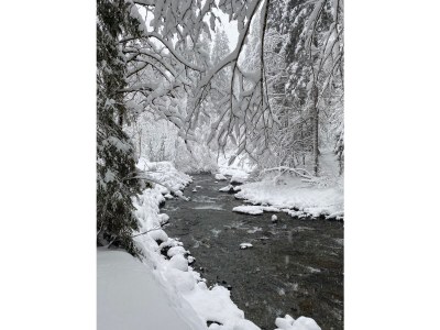 Holiday apartment Birkengrün - Outdoor photo 6