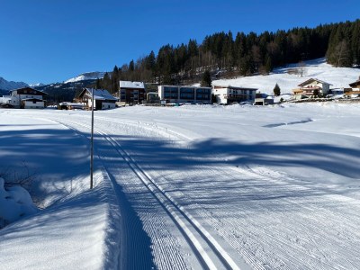 Holiday apartment Birkengrün - Outdoor photo 7