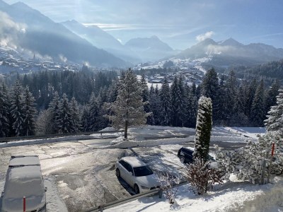 Holiday apartment Birkengrün - Outdoor photo 8