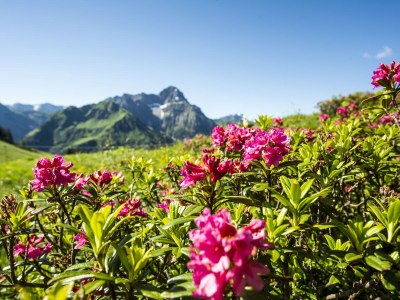 Holiday apartment Birkengrün - Environment photo 21