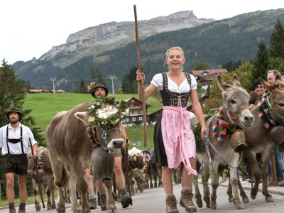 Holiday apartment Birkengrün - Environment photo 23