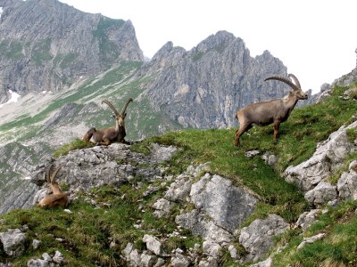 Holiday apartment Birkengrün - Environment photo 25