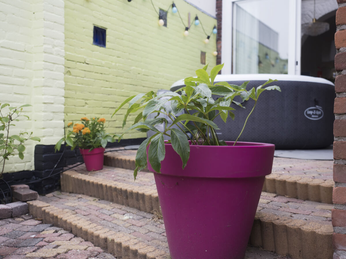 Holiday apartment Castricum by the Beach - Outdoor photo 5