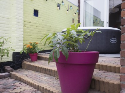 Holiday apartment Castricum by the Beach - Outdoor photo 5