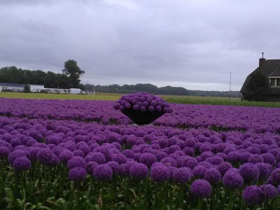 Holiday apartment Castricum by the Beach - Environment photo 32