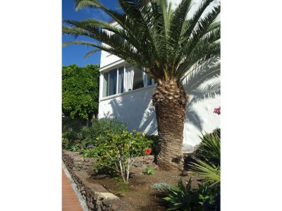 Holiday house Casa Paraiso - Outdoor photo 5