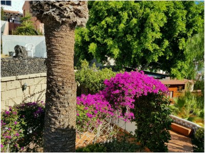 Holiday house Casa Paraiso - Outdoor photo 6