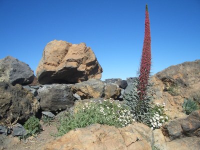 Holiday house Casa Paraiso - Environment photo 23