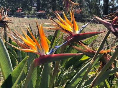 Holiday house Casa Paraiso - Environment photo 24