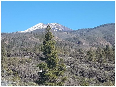 Holiday house Casa Paraiso - Environment photo 30