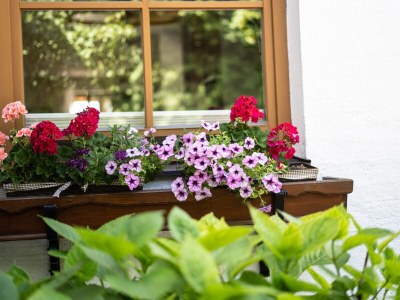 Holiday apartment No title - Outdoor photo 9