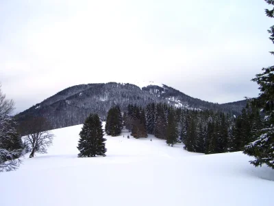 Holiday apartment Jaufmann family - Environment photo 19