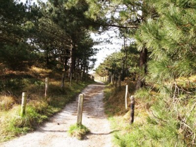 Holiday house "Texel" - Environment photo 11