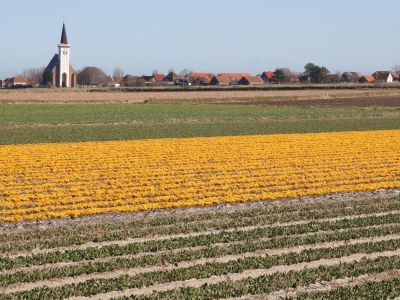Holiday house "Texel" - Environment photo 13