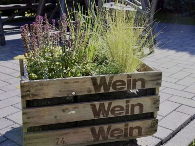 Apartment 6-Bett-Ferienwohnung EifelBleibe - Outdoor photo 39