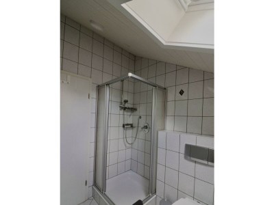 Apartment 6-Bett-Ferienwohnung EifelBleibe - Features photo 52