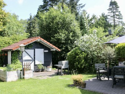 Apartment 6-Bett-Ferienwohnung EifelBleibe - Features photo 56