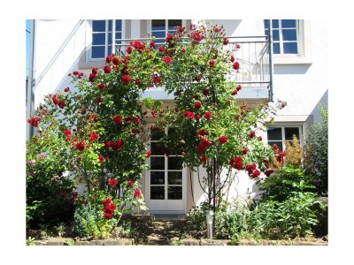 Apartment 4-Bettwohnung Nr. 1 in Bettenfeld - Apartment