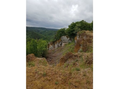 Apartment 4-Bett-Ferienwohnung Franziska - Outdoor photo 24