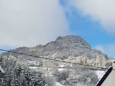 Apartment 4-Bett-Ferienwohnung Franziska - Outdoor photo 28