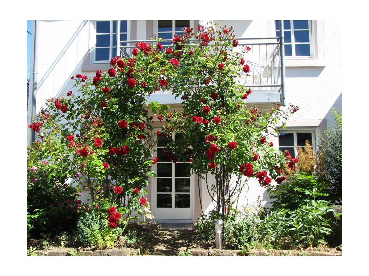 Apartment 4-Bettwohnung Nr. 4 - Outdoor photo 3